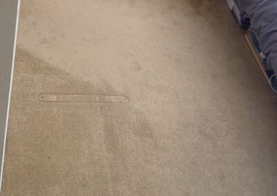 carpet-cleaning-before-2021-09-07-01